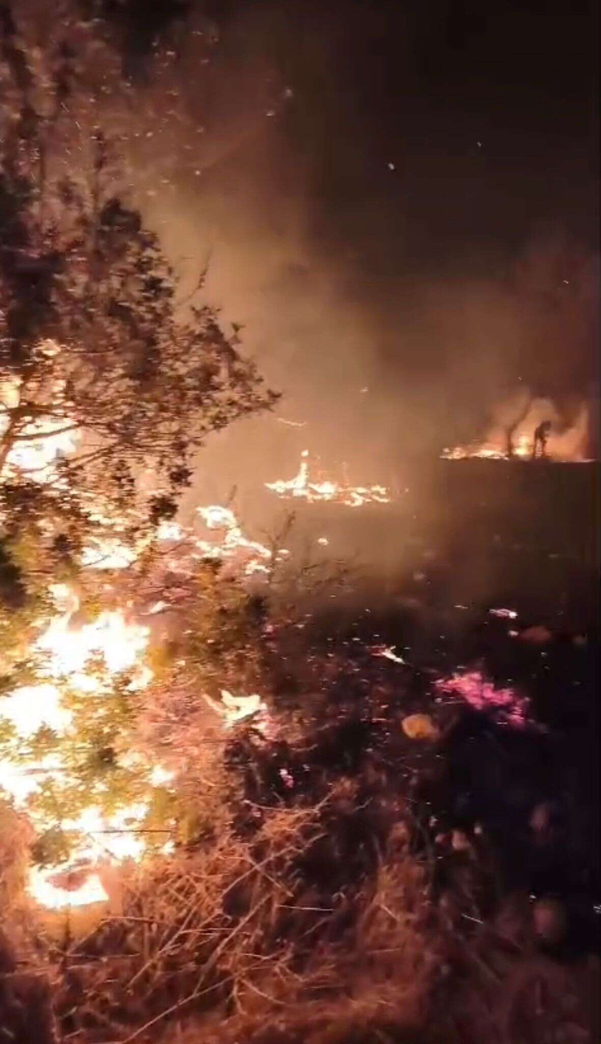 Milas’ta Gece Saatlerinde Arazi Yangını! Ekipler Seferber Oldu 1